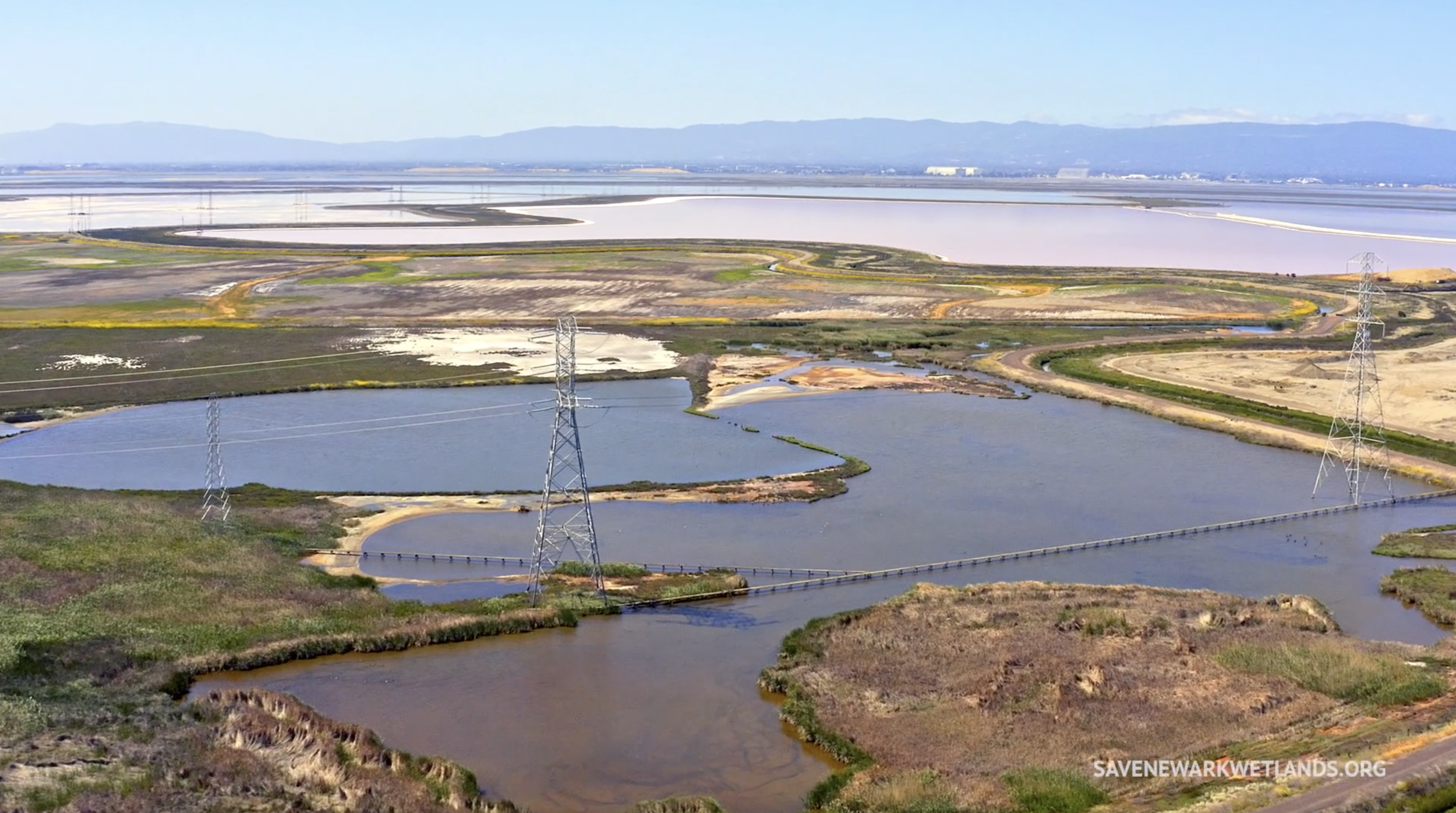 Save The Newark Wetlands 2021