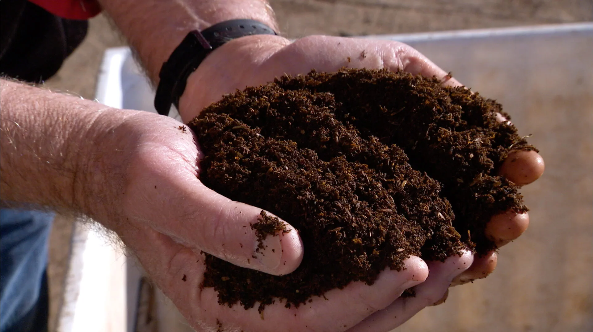 Terra Vesco "About Terra Vesco"