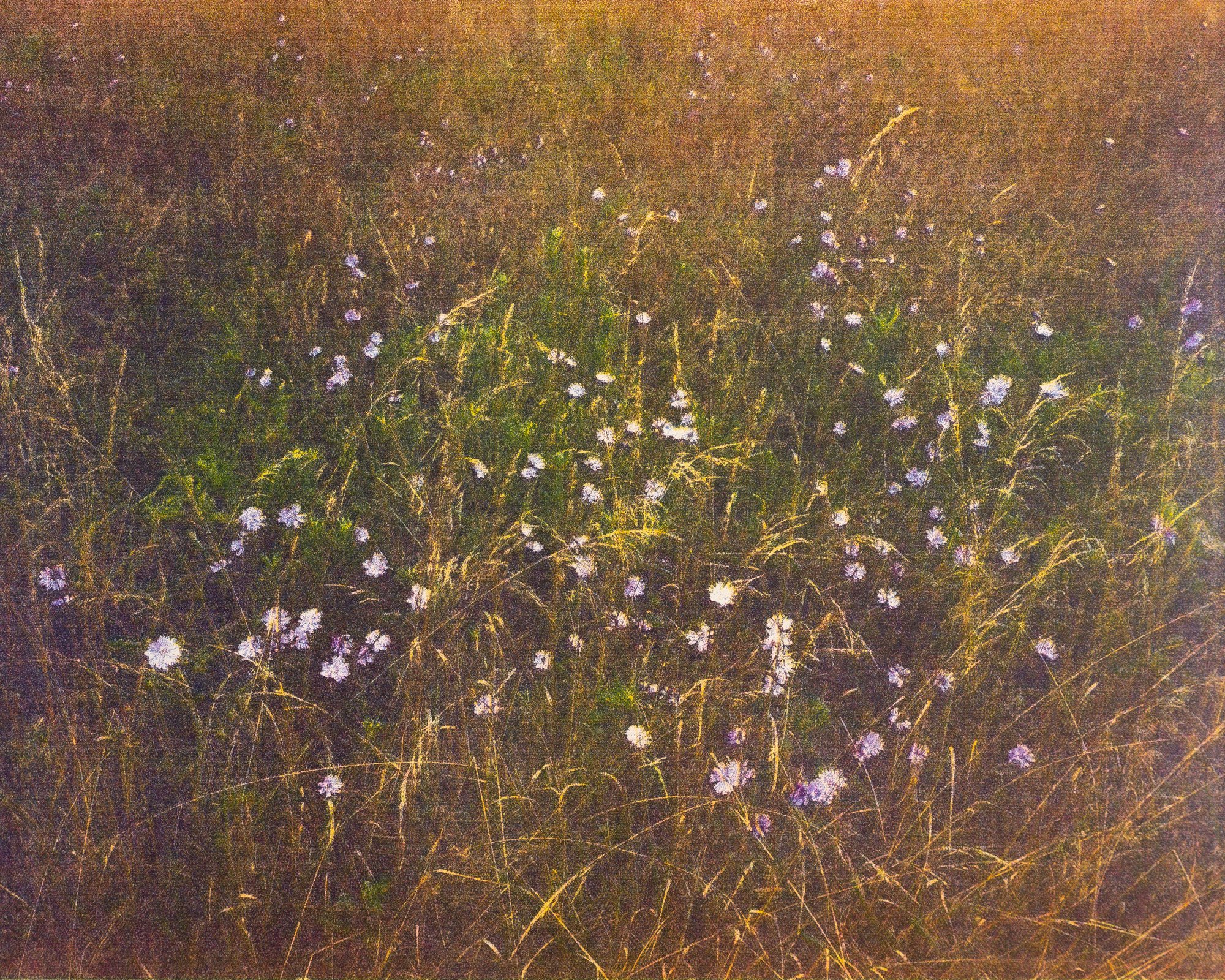 01_spring_001.jpeg