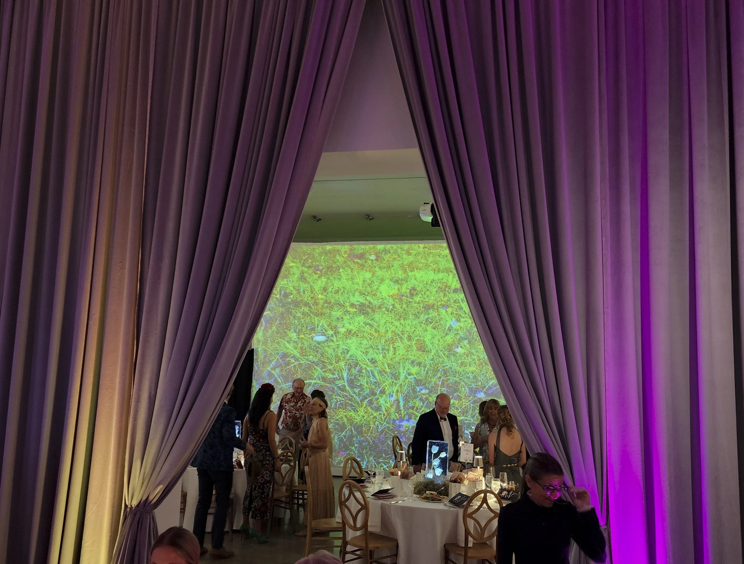 People socializing at a formal event in a banquet hall with purple curtains and a large digital screen displaying a nature scene.
