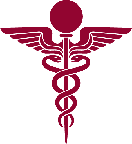 Medical caduceus symbol with wings and a staff topped by a sphere, in maroon color.
