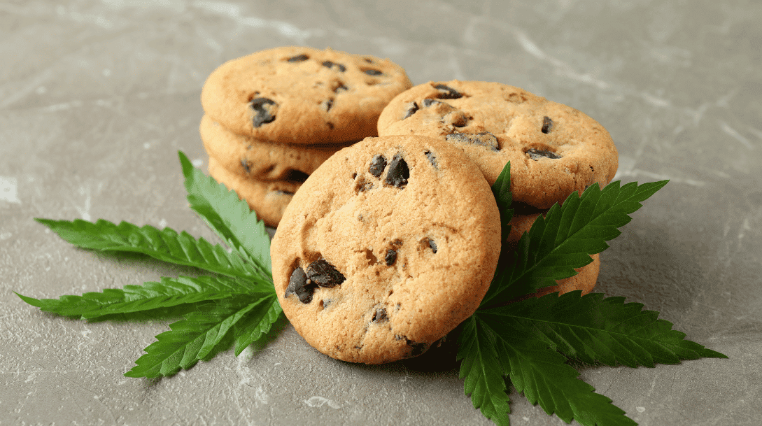 Why does cannabis make you hungry? The science behind the munchies