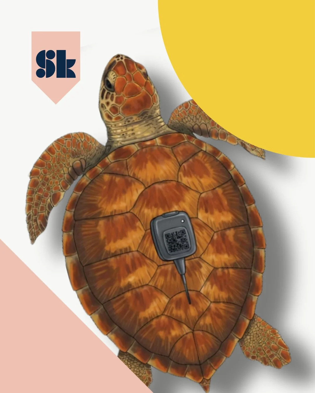 Donnashello, Seayonce, Miso Speedy, Tortellini and Turt Reynolds.... 🐢🐢🐢

Did your classroom track a turtle with our 'Diary of a Turtle' Kit ( supported by @nestleanz )? 

A kit so popular we've had to open a waitlist!