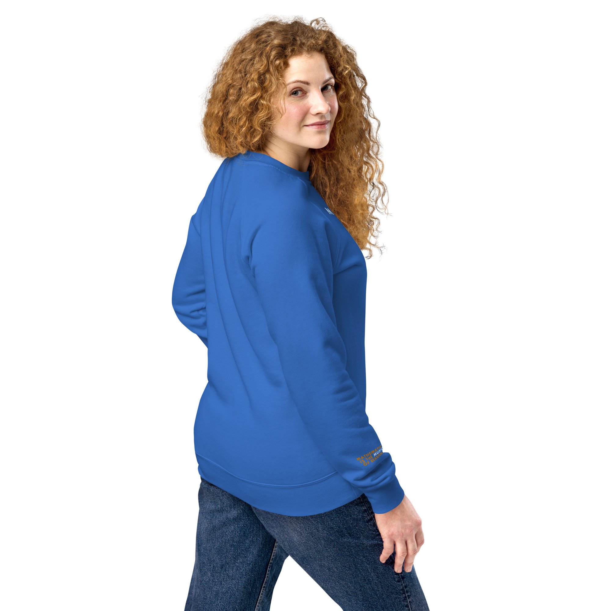 unisex-raglan-sweatshirt-bright-royal-back-673bac9d60487.jpg
