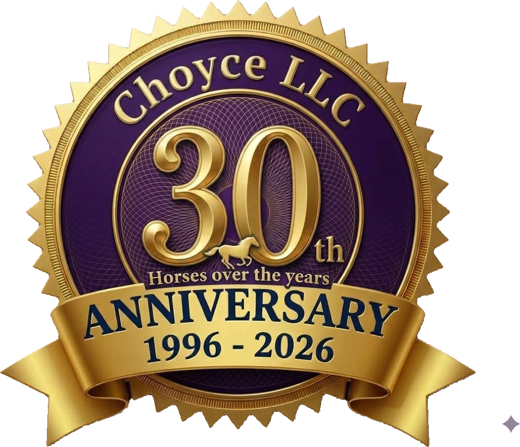 Choyce LLC 30th anniversary seal