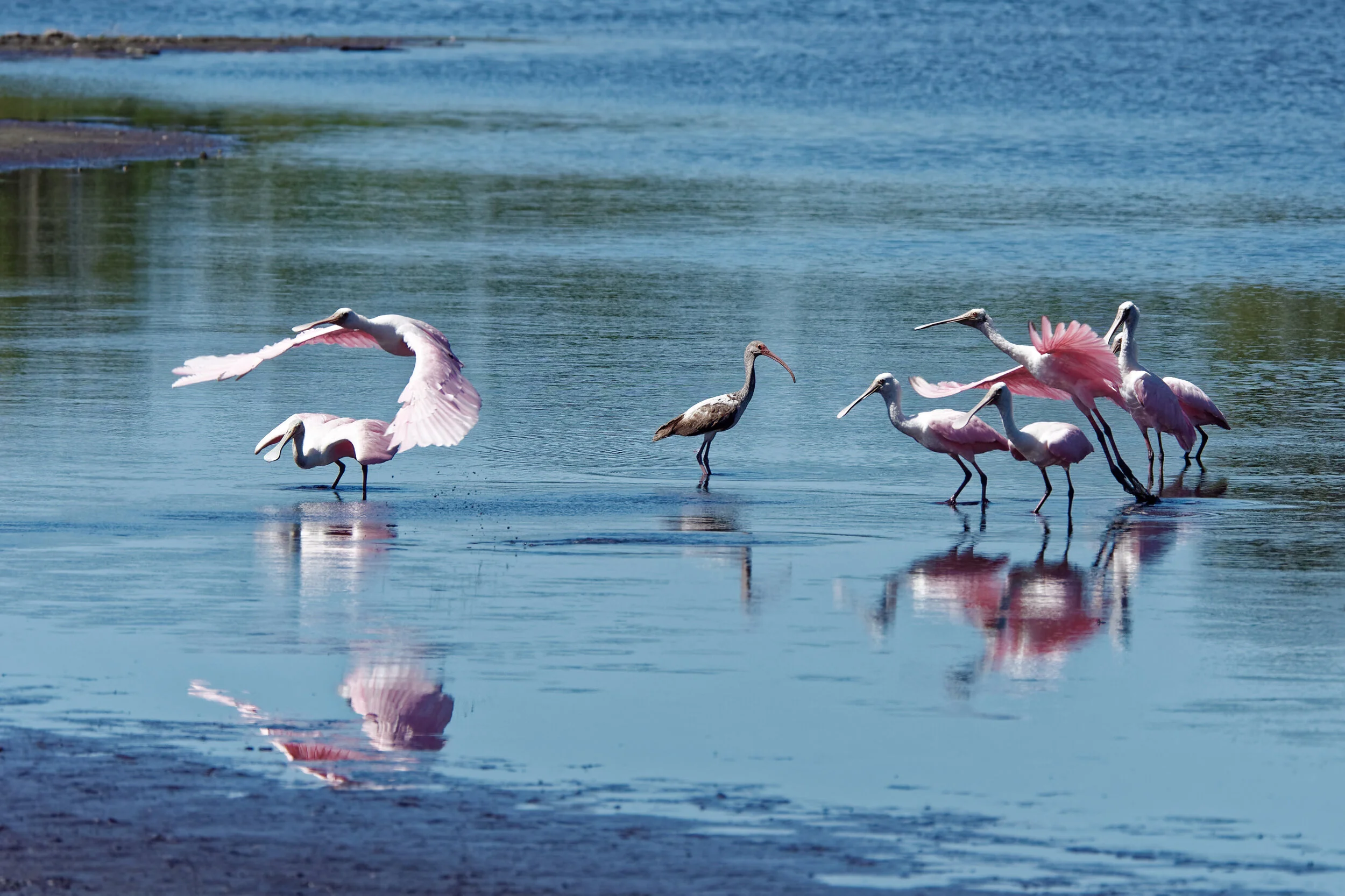 P1050316_DxO fixed.jpg