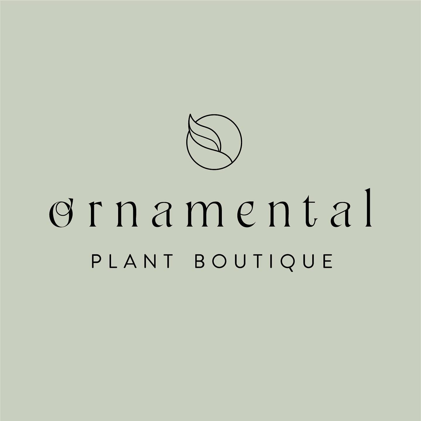 Ornamental has a new website and it is live ! 🌱The site is a place to find all sorts of plant care information that I&rsquo;ll be adding to consistently. Thanks to @christinedevsdesign for all the hard work and persistence in teaching me how to get 