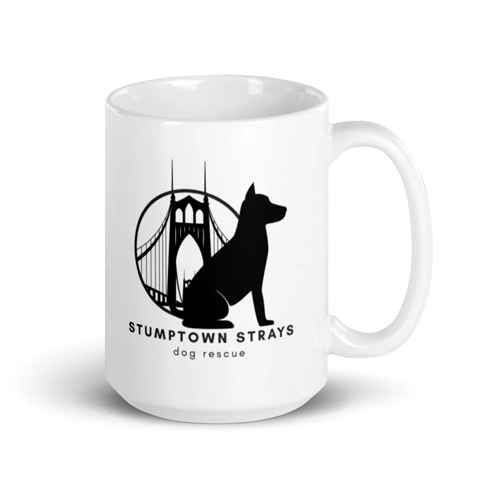 white-glossy-mug-15oz-handle-on-right-61721e1a7cd99.jpg