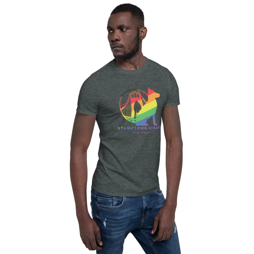 unisex-basic-softstyle-t-shirt-dark-heather-right-front-627fdacf641ae.jpg