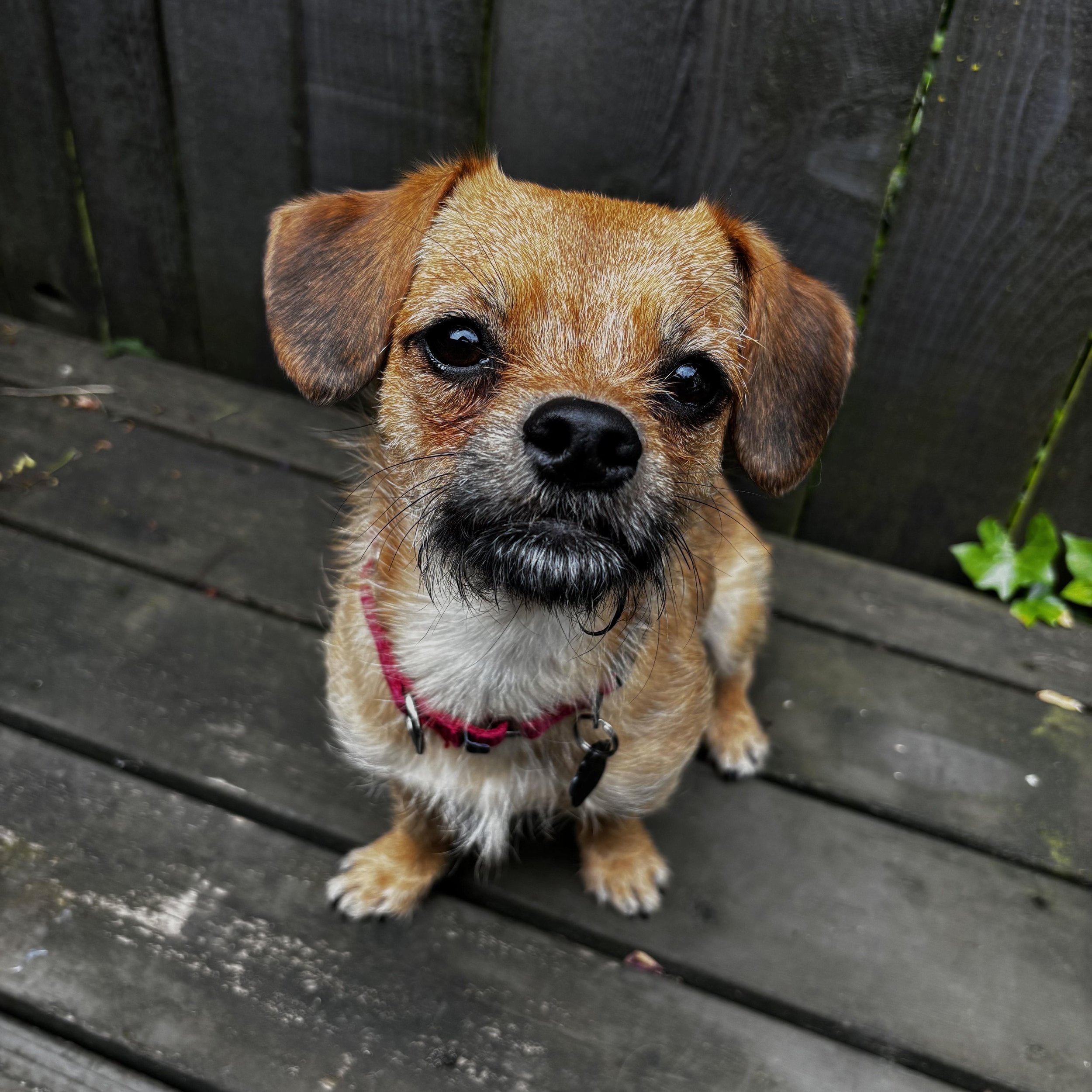 a5779b22-b3d4-4223-bcc9-5b09b0dfd47a.jpg