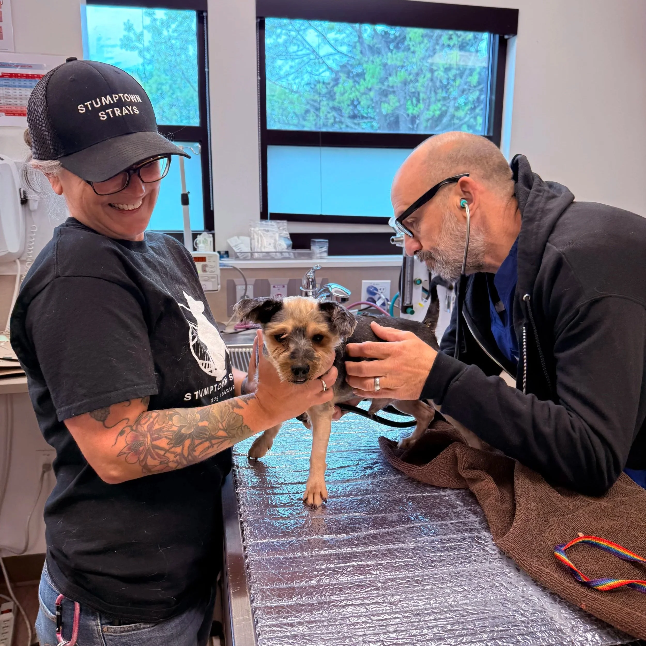 Stumptown-Strays-Oregon-Vet-Rescue-4.jpg