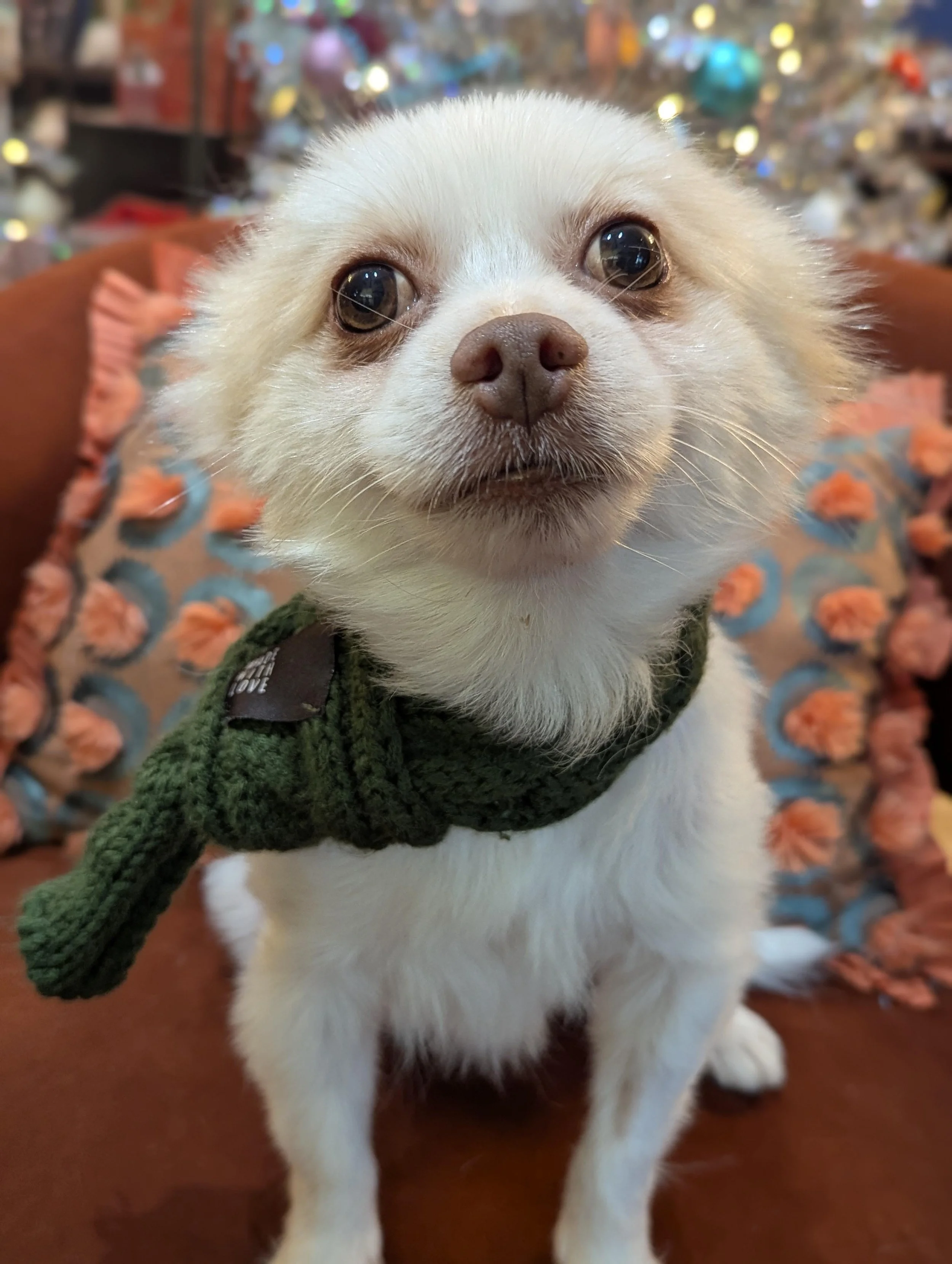 Dylan