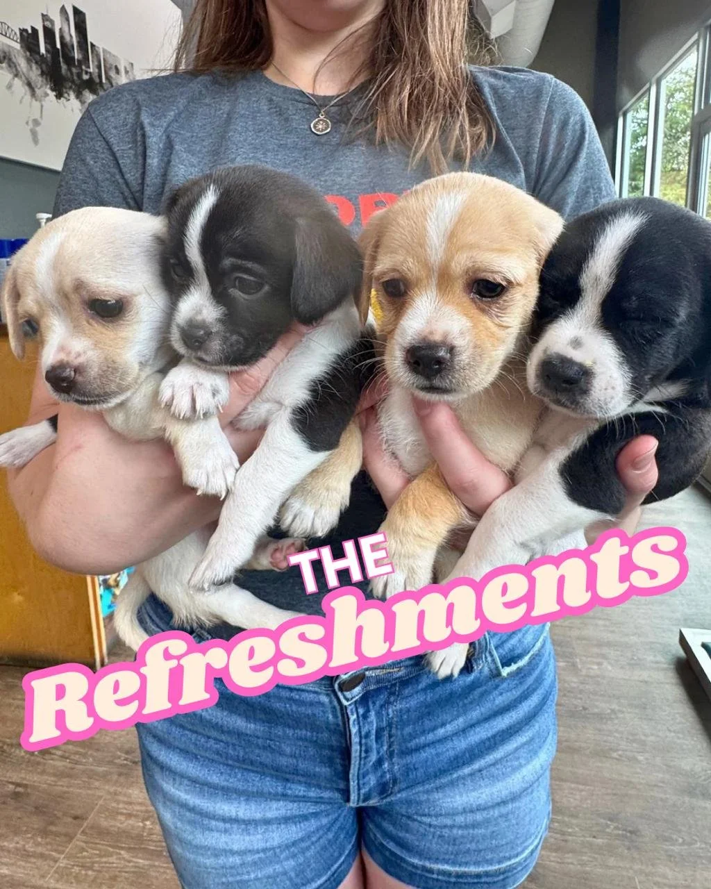The Refreshments