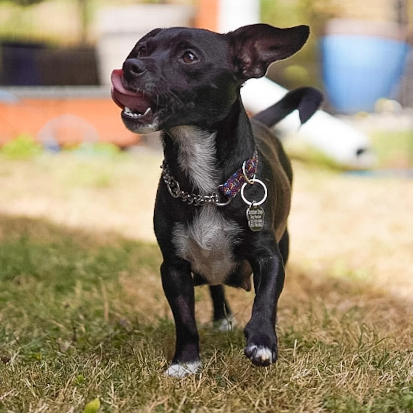 Marcie