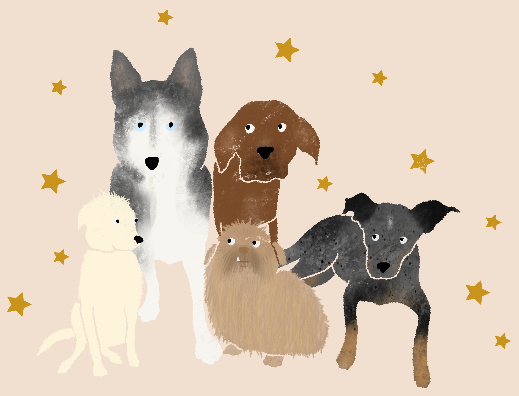A drawing of 5 dogs sitting in a group together. There is a small beige dog, a blue eyed husky, a brown dog with floppy ears, a small round brown fluffy dog with a tooth sticking out of his mouth, and a gray cattle dog.