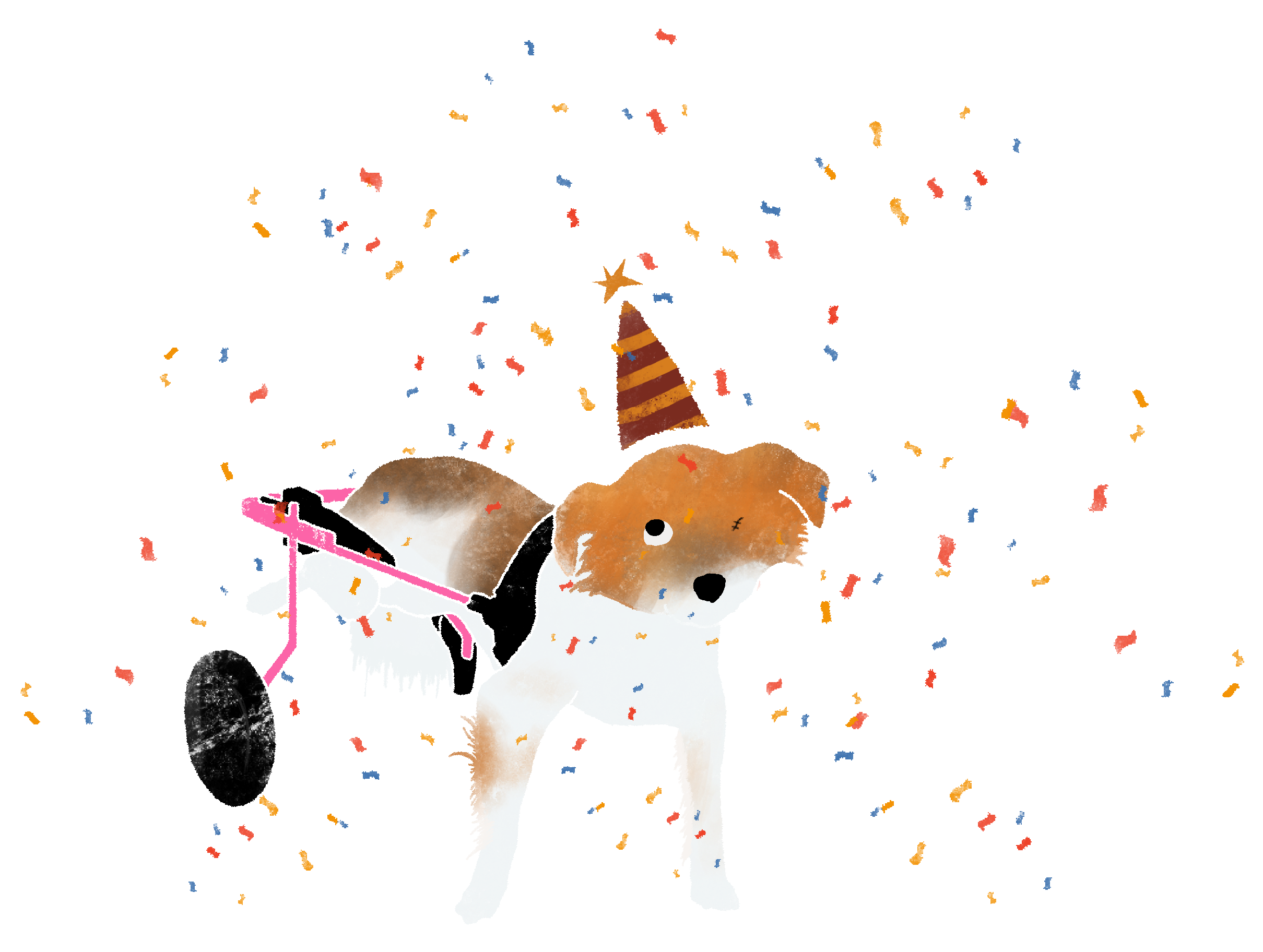 A drawing of a white, orange, and crown dog in a ping dog wheelchair wears a party hat and is surrounded by confetti.