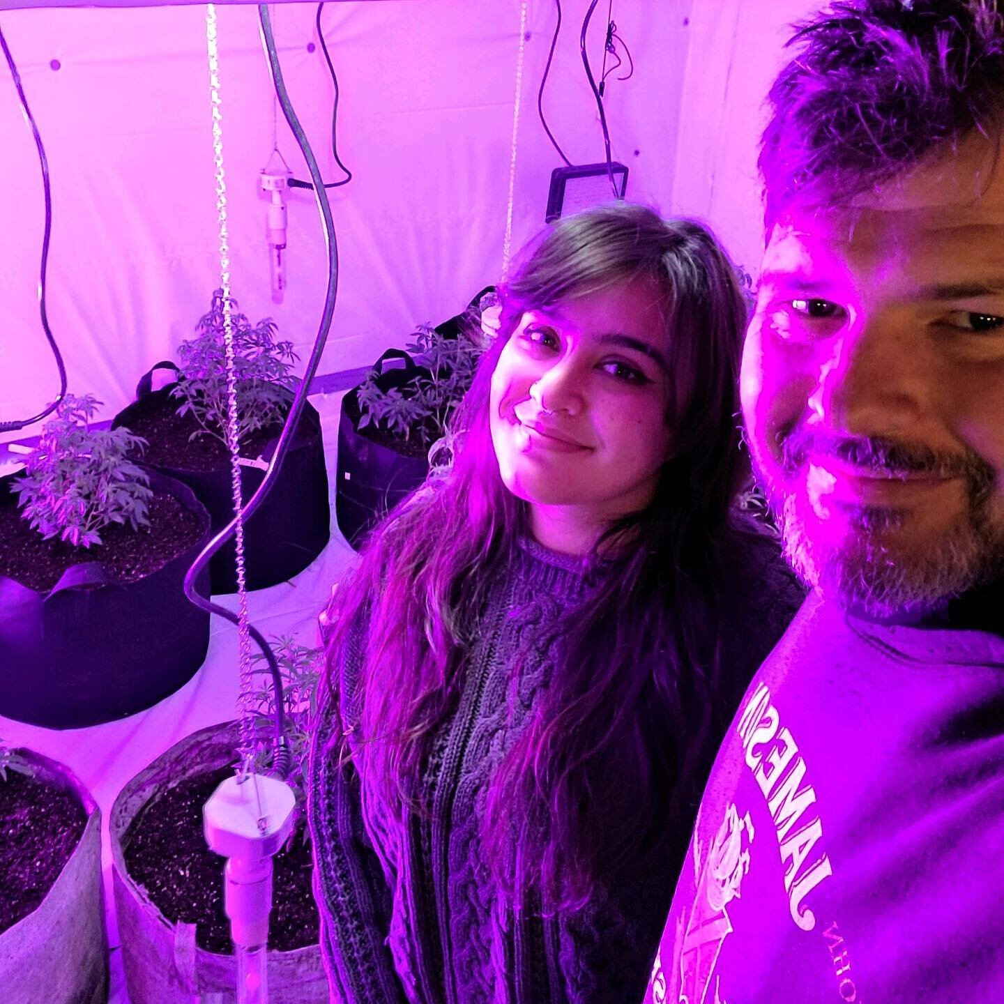 Revamping our flower room and getting the new one ready to go for the new year! Incorporating some LEDs my Dad's buddy gave us. Looking forward to seeing the effects of a combo set up with the bare bulbs!  New crop is Mimosa, Thai Chem Og, Doja Cooki