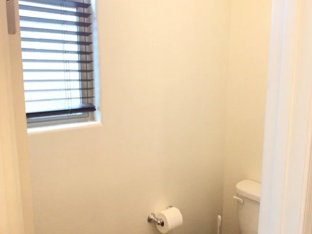 Master toilet.jpg