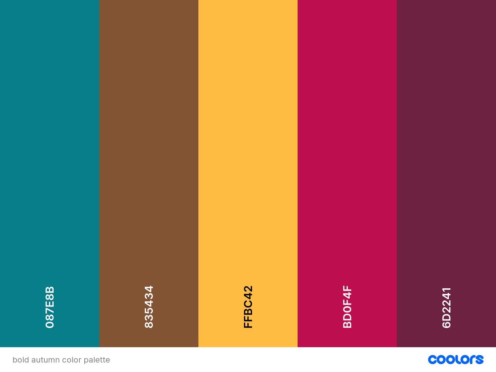 5 Color Palette _ Palette De 5 Couleurs – TEDG
