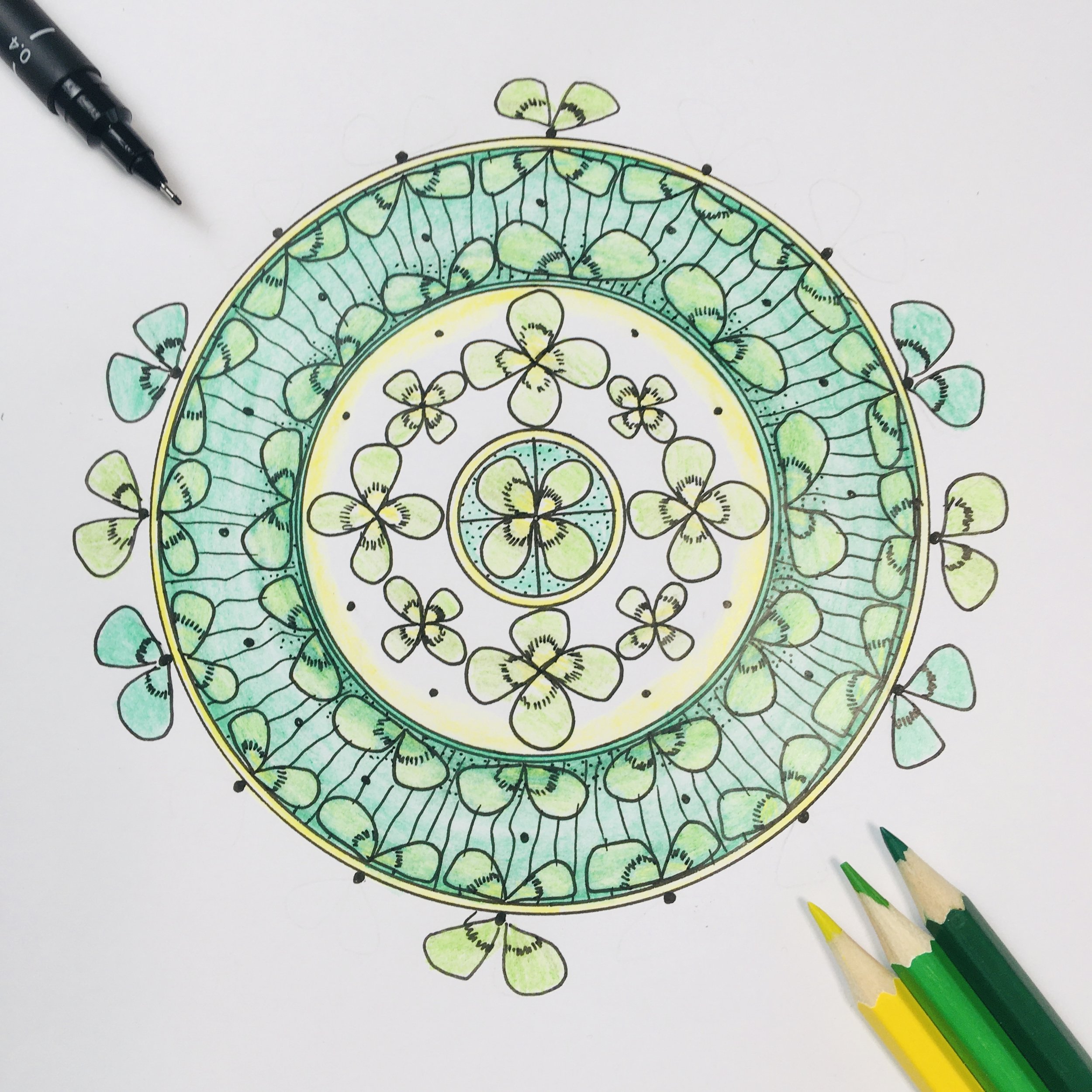 Nardoo with pencils Module 5.jpg