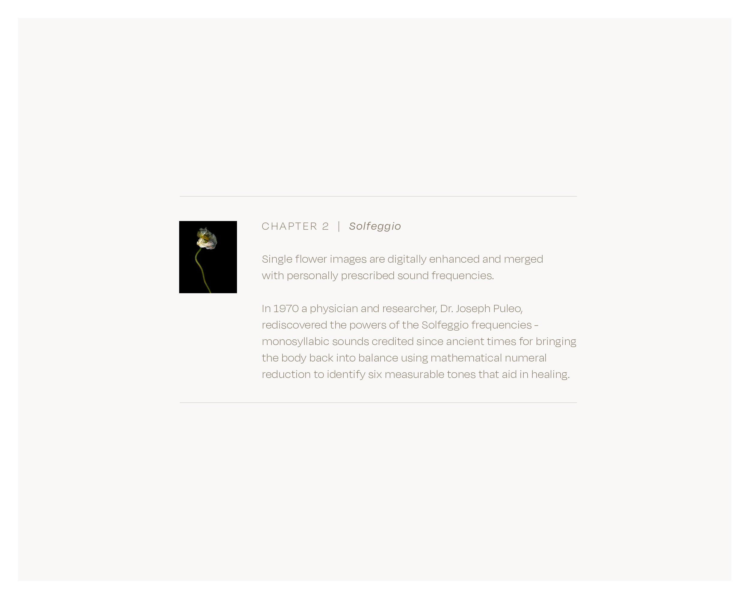 JP_Florilegium_title cards_7-7-25_2.png