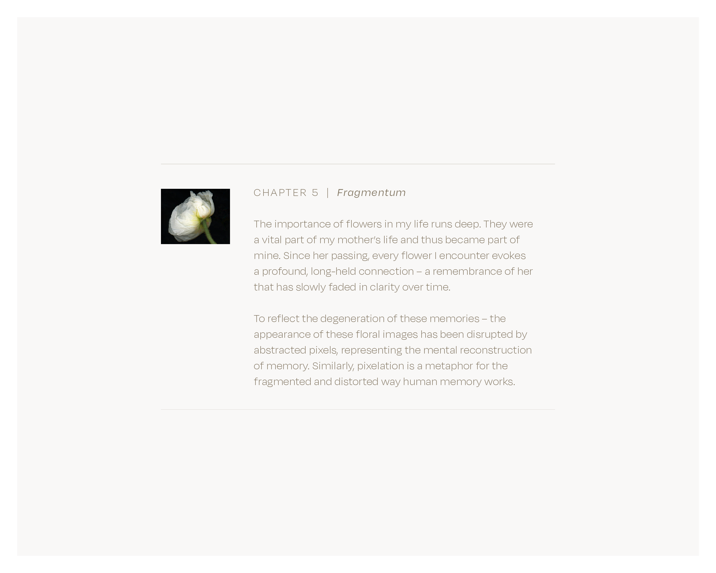 JP_Florilegium_title cards_7-7-25_5.png