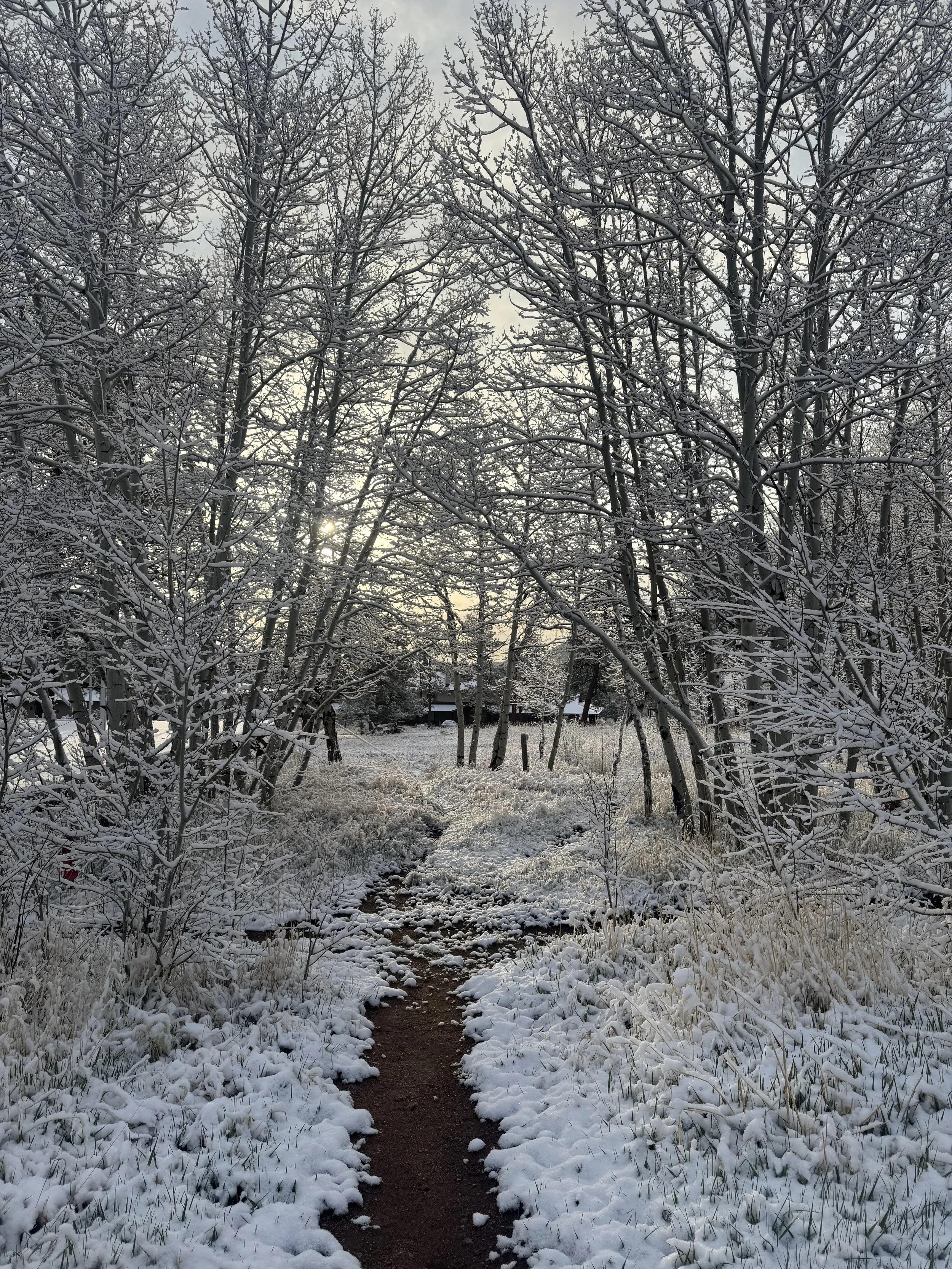 Begin Where You Are: An Introduction to Mindfulness Meditation