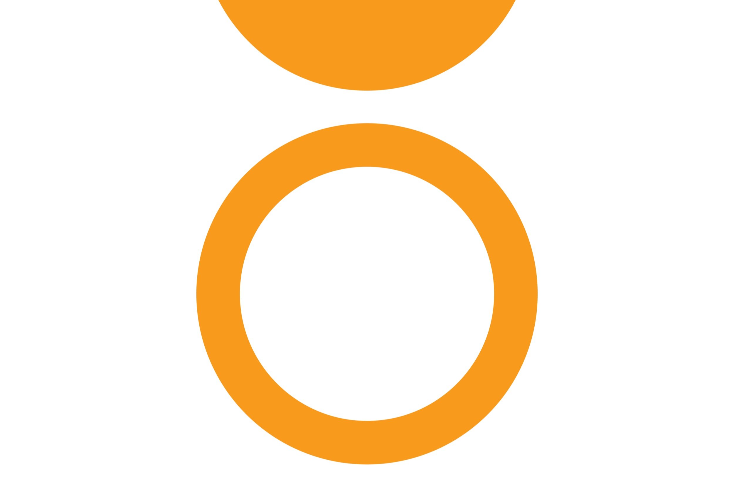 GRAPHIC_LM_TEMPLATE_BIG_ORANGE.jpg
