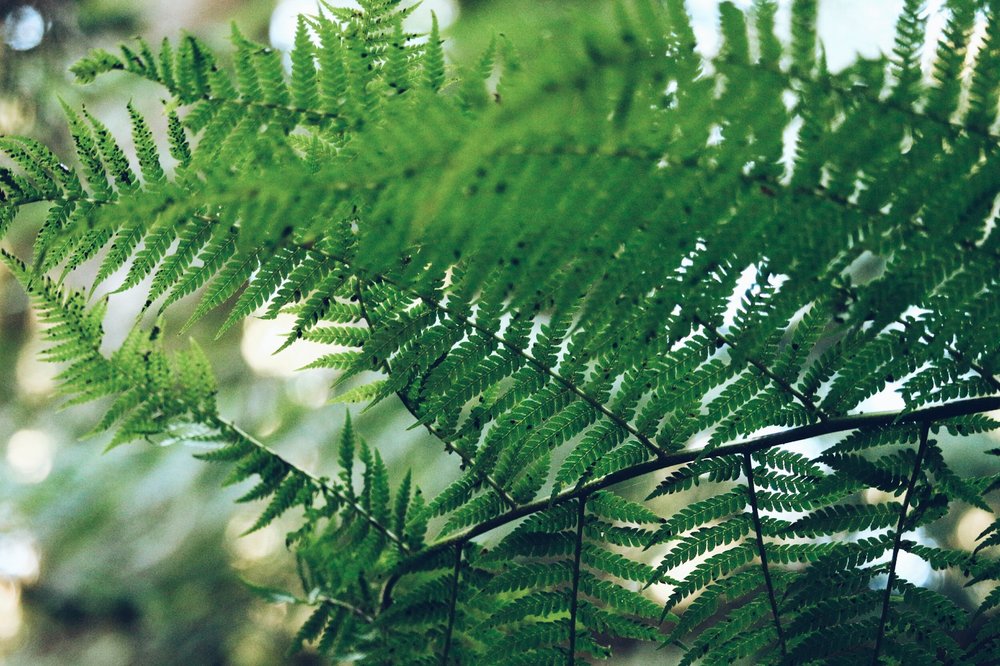 Adult Education Programs Nature Education Opportunities