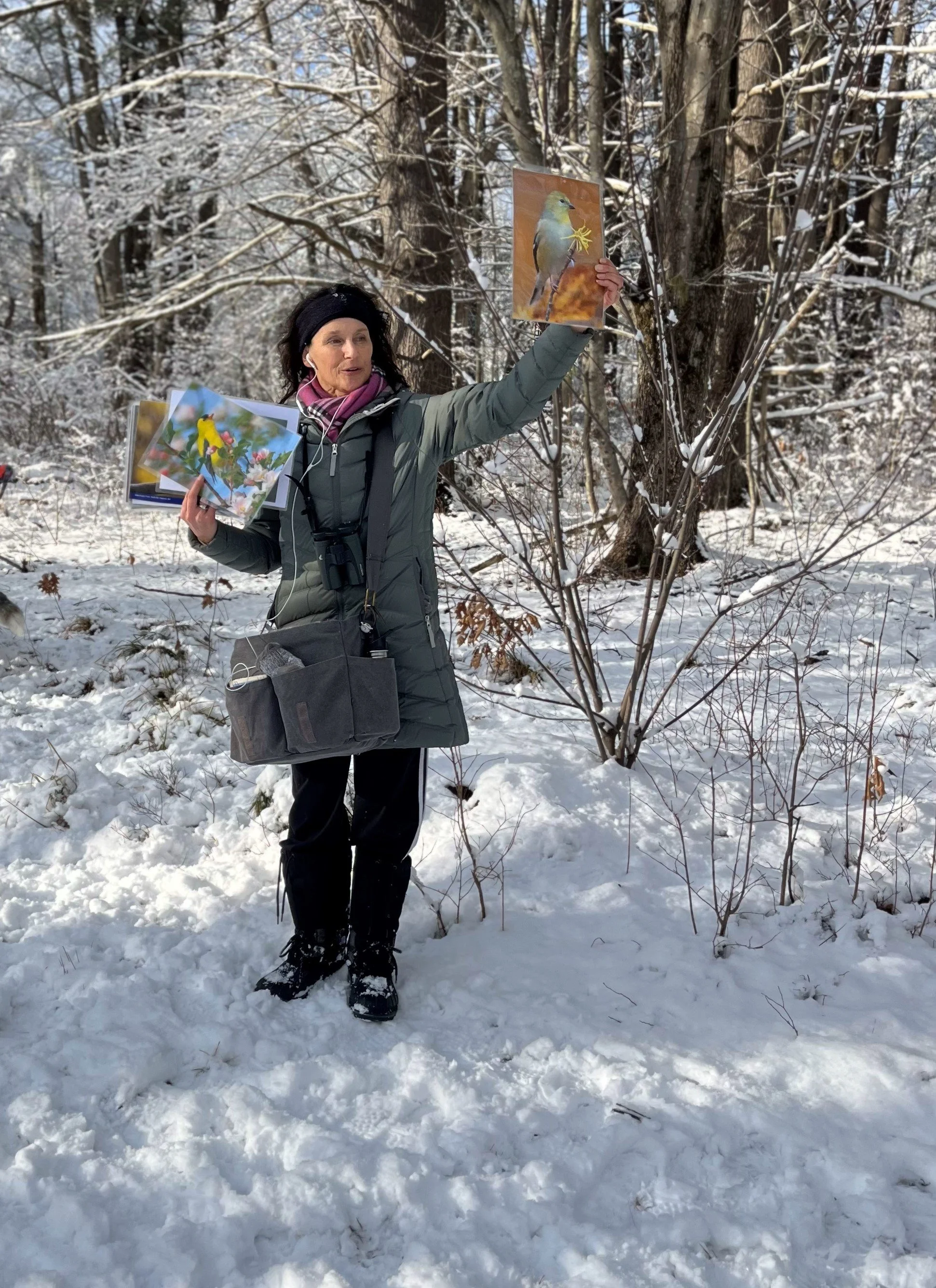 Adult Education Programs — Nature Education Opportunities
