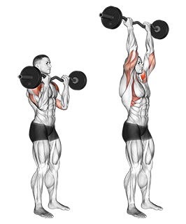 Barbell Curl To Shoulder Press Shoulder Straight Barbell Workout