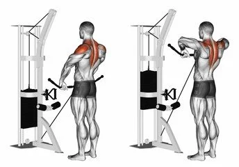 Standing Cable Row Exercise Seated Row One Arm Cable Crunch Rope