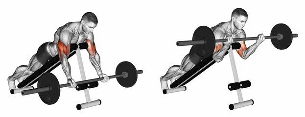 Lying Incline Barbell Biceps Curl