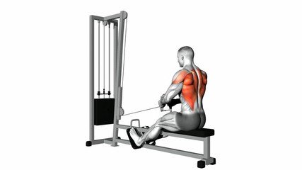 Seated Cable Row — BETTER BODY ACADEMY