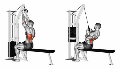 Close Grip V-Bar Pulldown — BETTER BODY ACADEMY