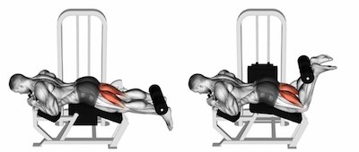 Lying Hamstring Curls — BETTER BODY ACADEMY