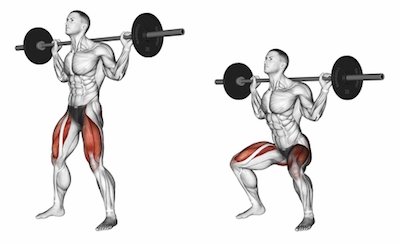 Barbell Back Squats — BETTER BODY ACADEMY