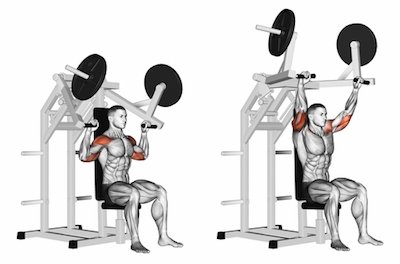 Seated Shoulder Press Machine Better