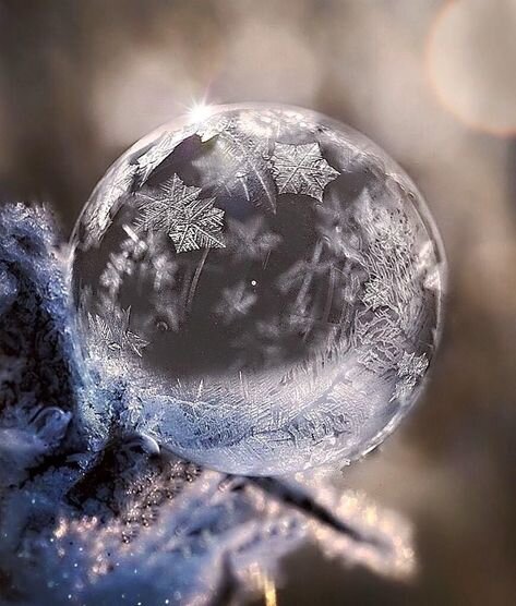 looking glass 12.jpg