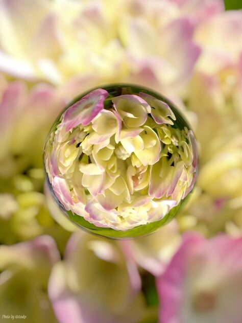 Looking glass 16.jpg