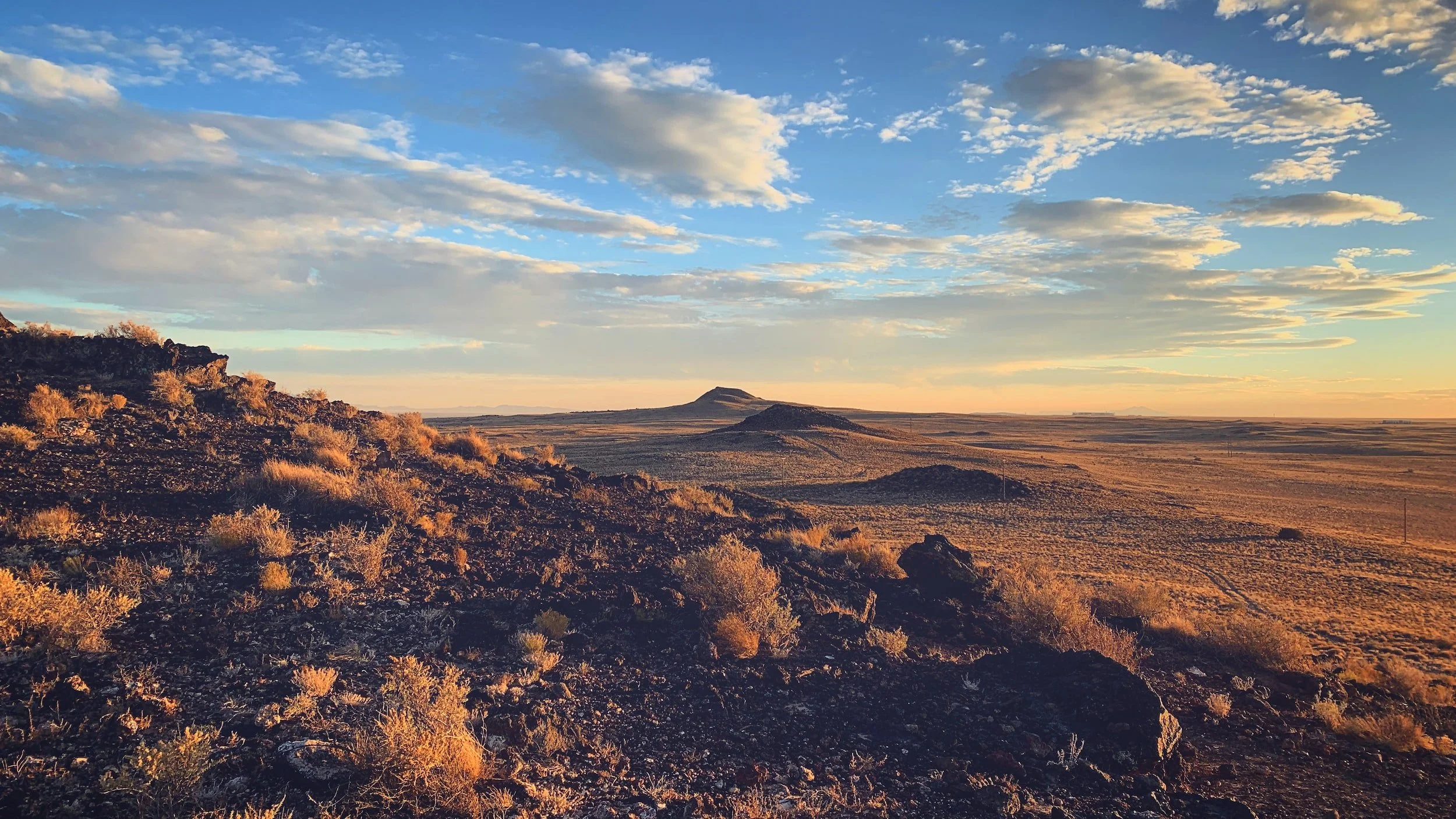 Naughton in Albuquerque Journal on Energy Challenges