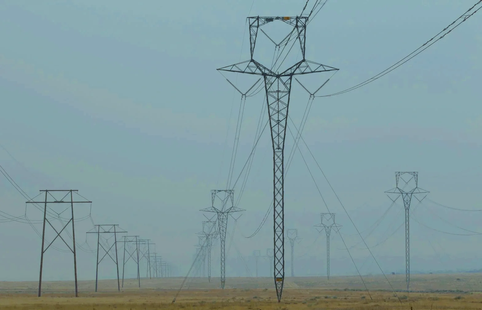 Reilly in The Well News on PJM’s Problems&nbsp;