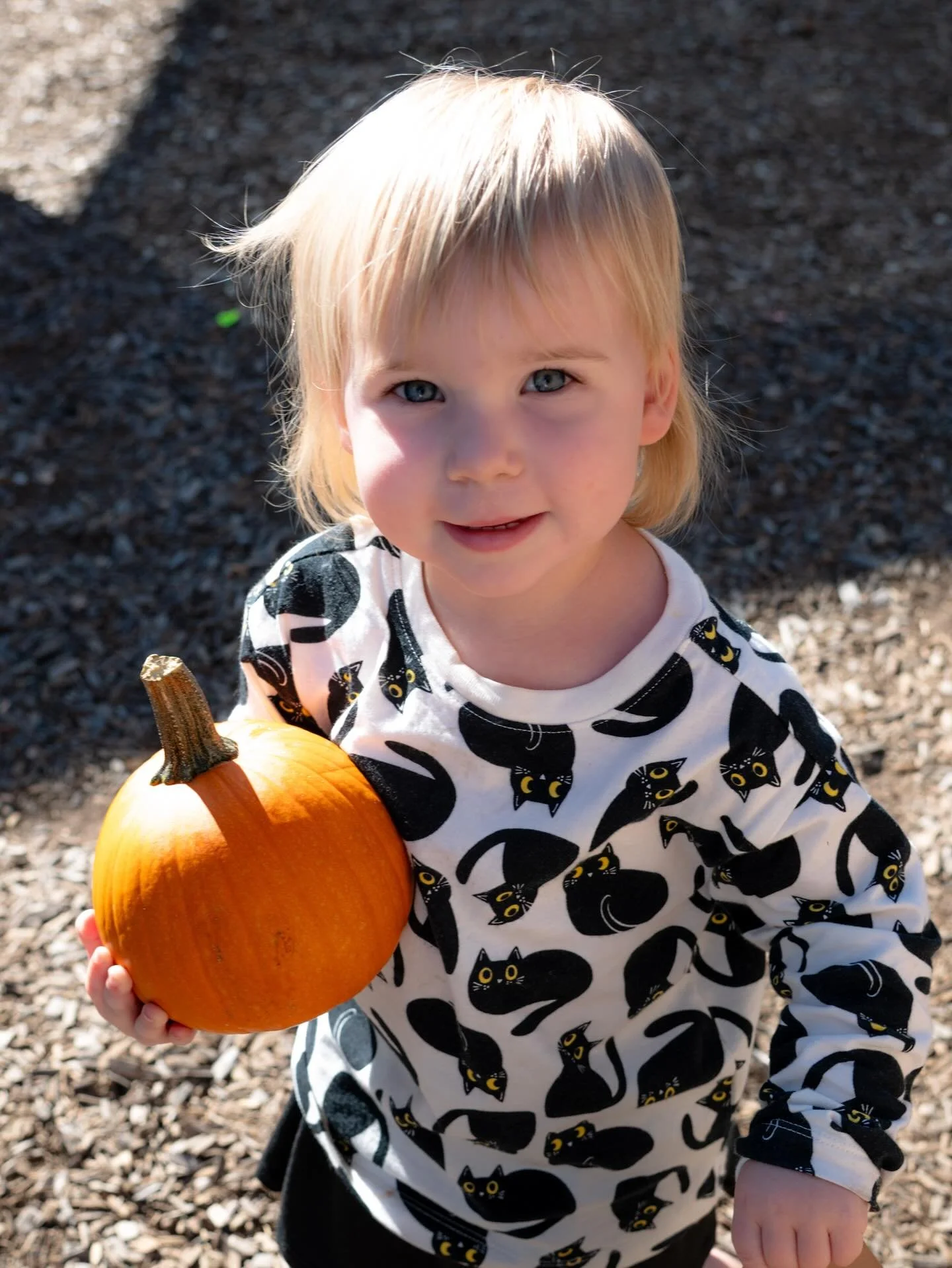 Our little Eagles had a blast at the daycare pumpkin patch! They proudly showed off their favorite playground spots to their families and then, chose the perfect pumpkin to bring home. 🎃
#concordacademync