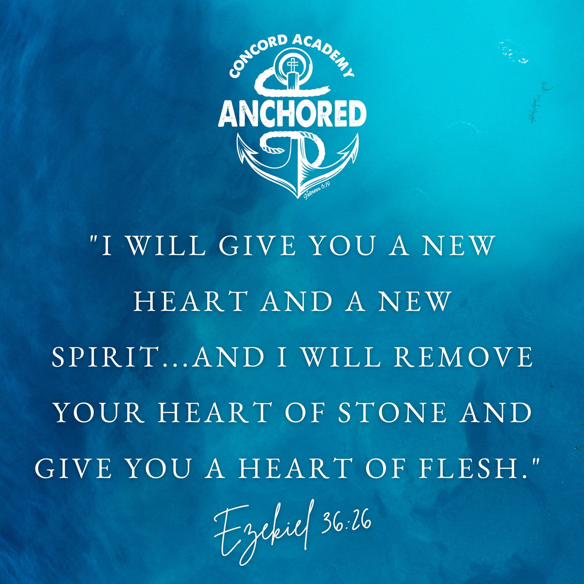 ⚓ ANCHORED IN THE WORD!

#concordacademync #educatingwithexcellence #lovingJesus #changingtheworld #onestudentatatime