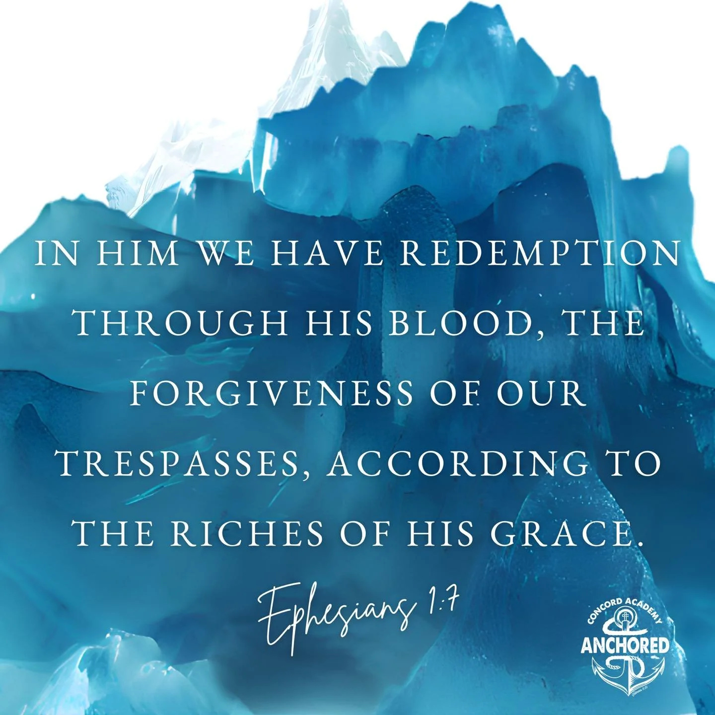 ⚓️ ANCHORED IN THE WORD!