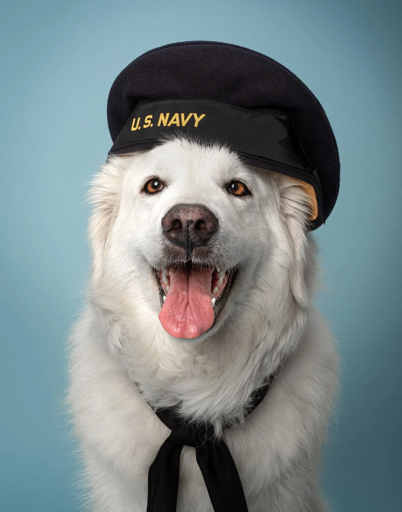 Clodaugh dog photography Navy Santa Cruz