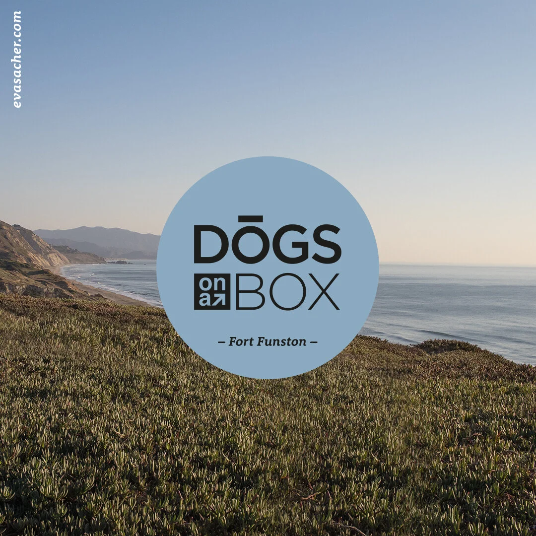 dogs_on_a_box_FF_1.jpg