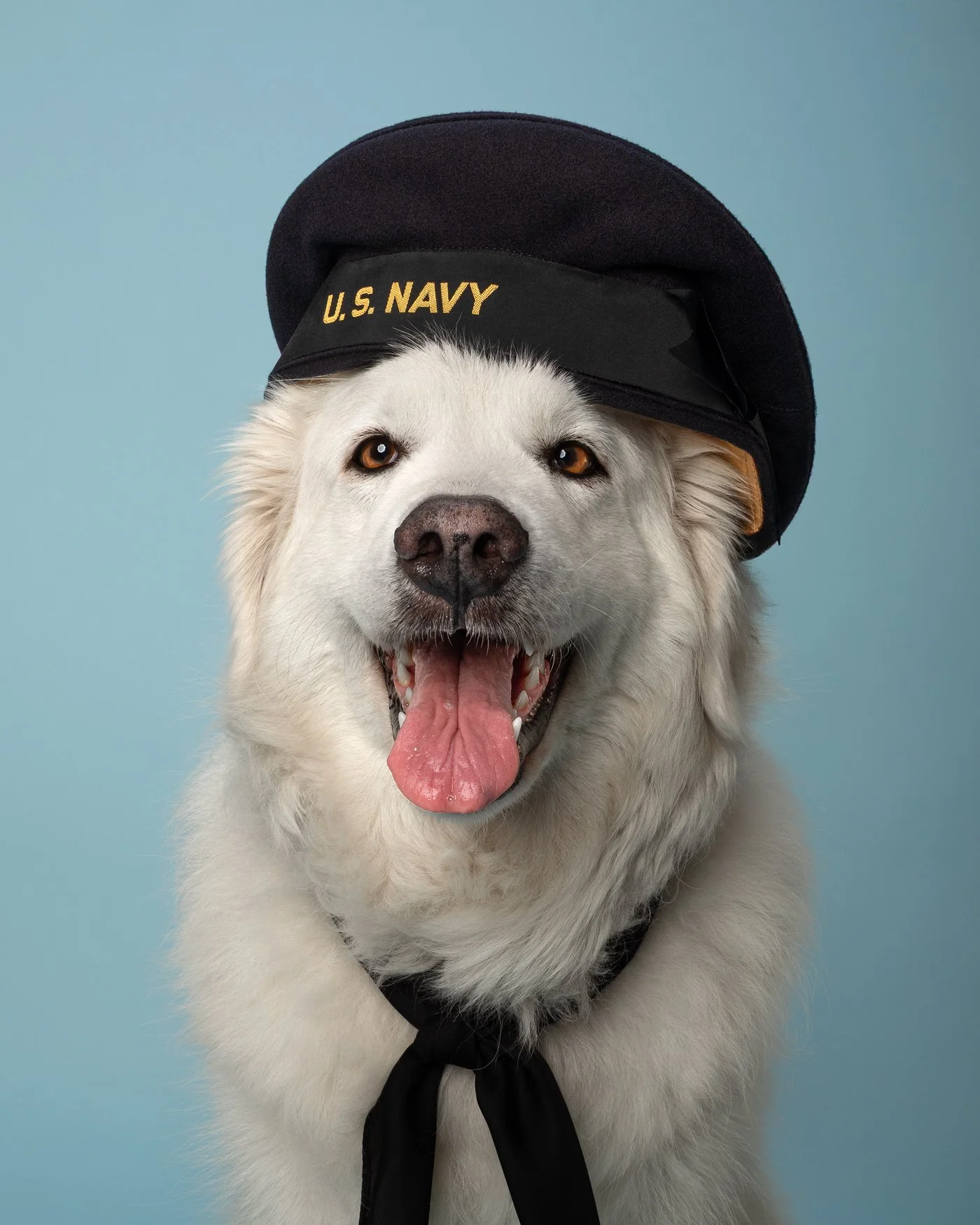 Clodaugh dog photography Navi Santa Cruz