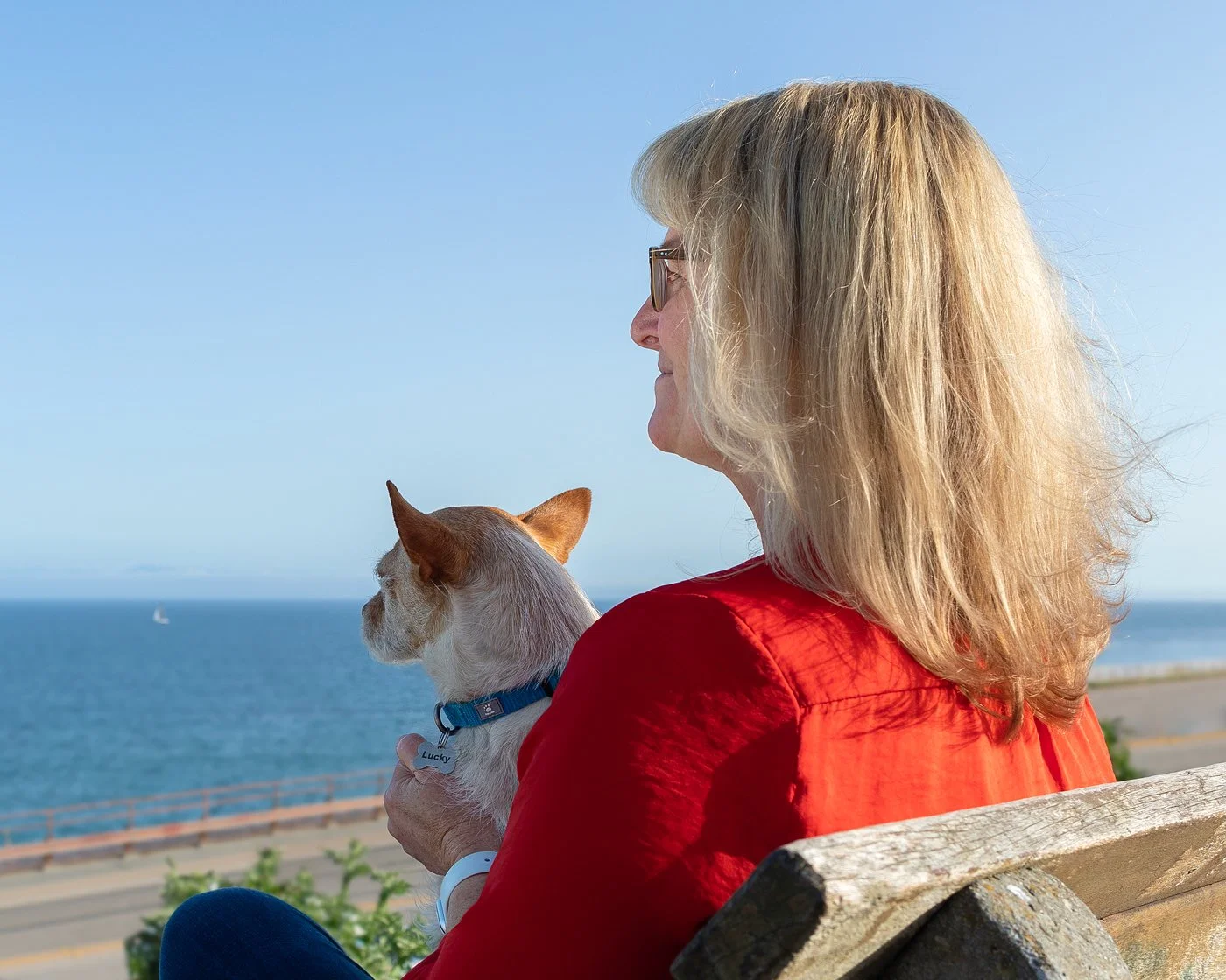 Lucky Capitola bluff pier dog photography reference