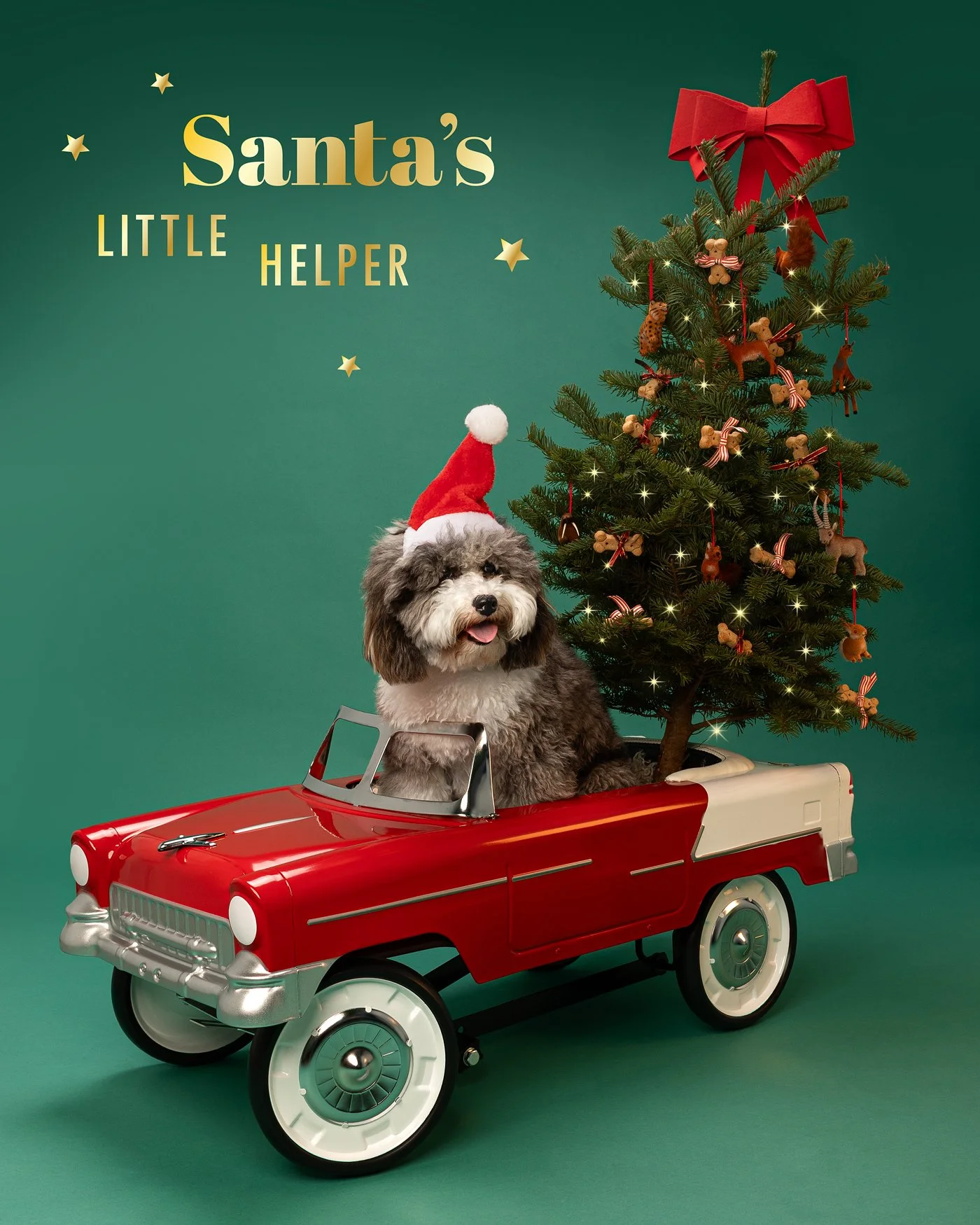 Lou dog photography doodle santa hat christmas